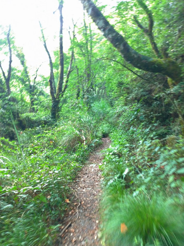 【臺中市和平區】閂山鈴鳴山(上)_1063435