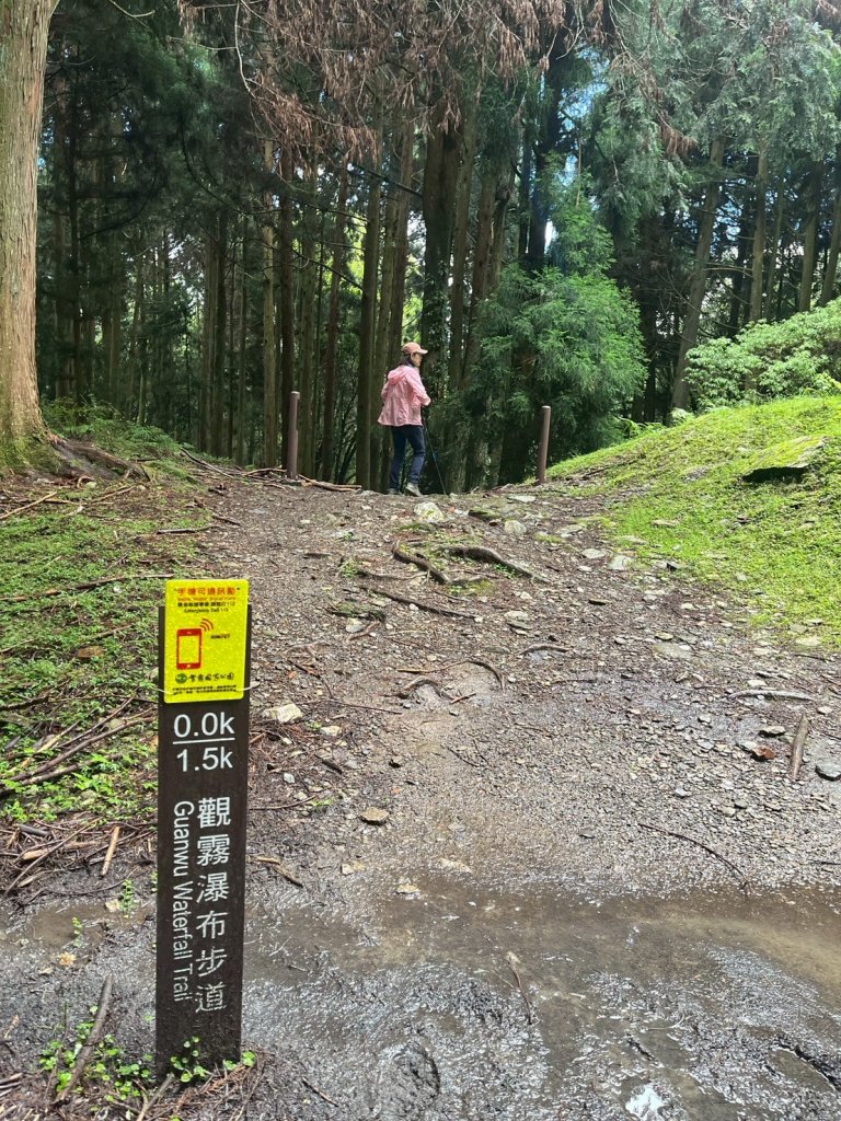 新竹 五峰 觀霧國家森林遊樂區 觀霧瀑布步道+賞鳥步道_2811422