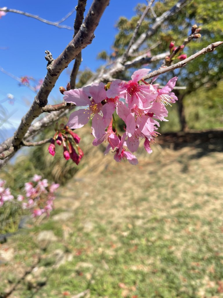 雲嘉五連峰_2049520