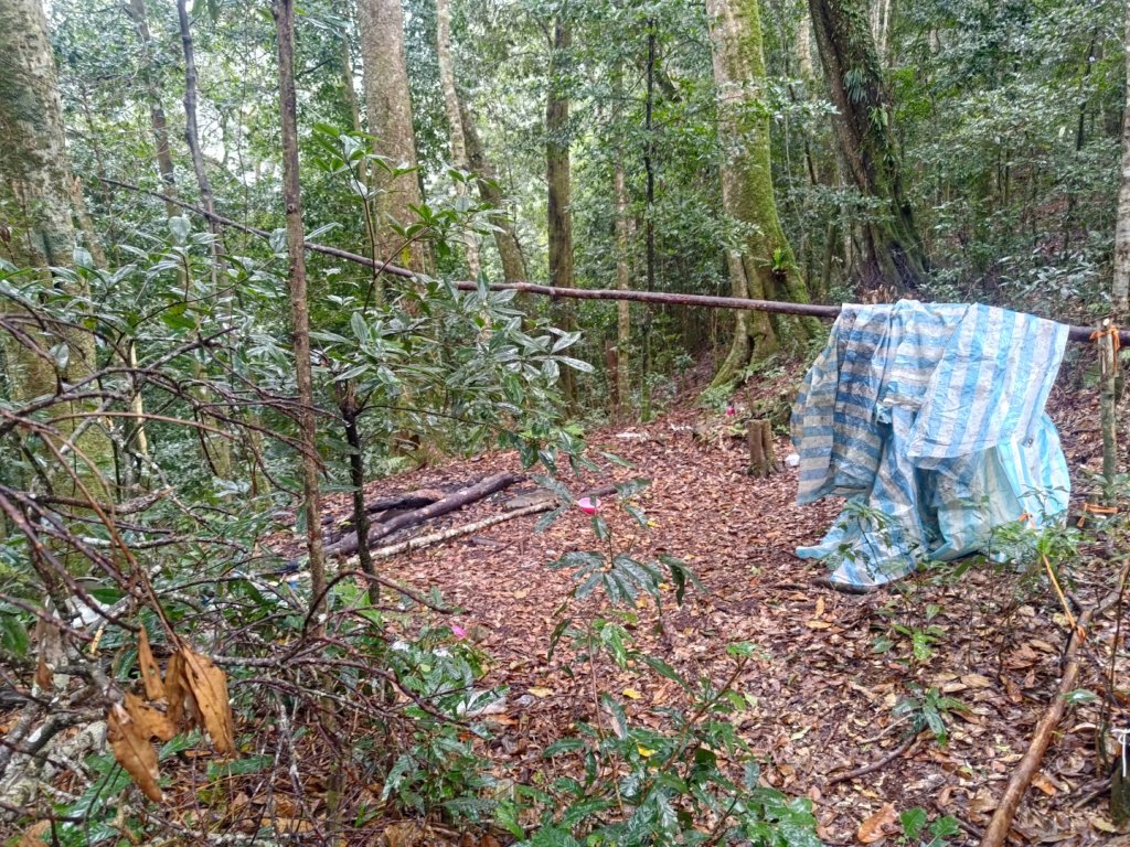 多陽山棚機山_2692631