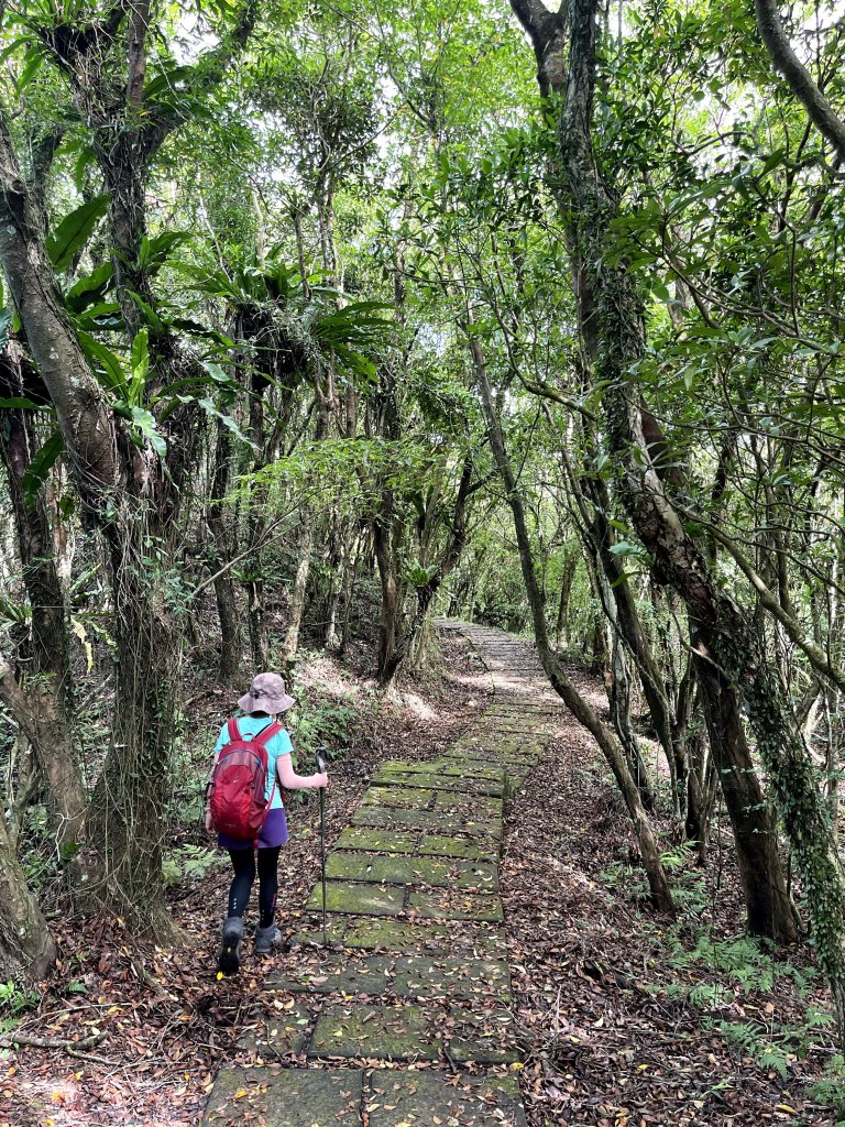 草嶺古道-大溪線-桃源谷-虎字碑-草嶺古道-福隆 20240909_2591654