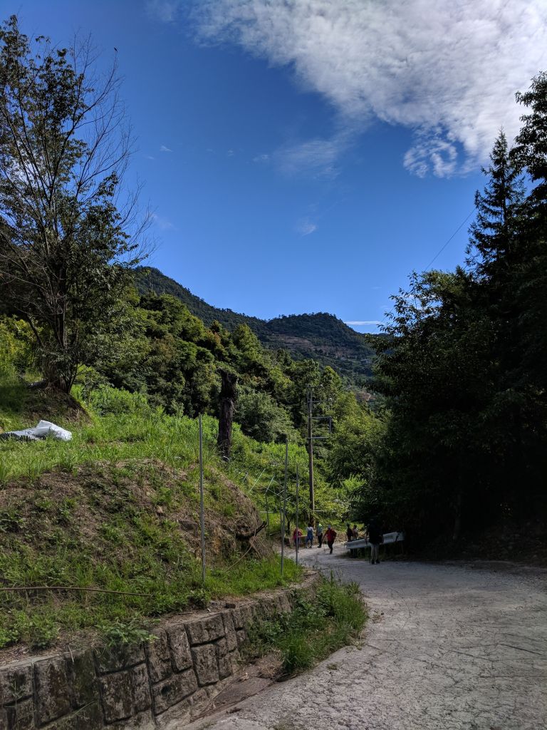 下大雨的鎮西堡神木群步道B區_385345