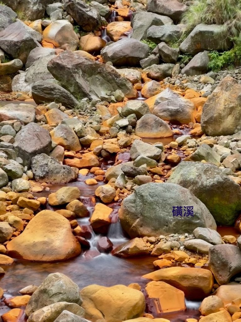 上磺溪橋走魚路古道/金包里城門/擎天崗/冷水坑_2872113