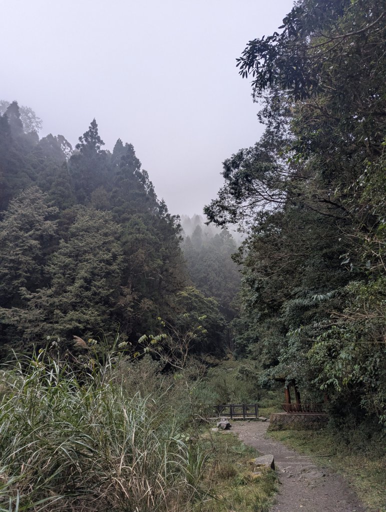2026.02.14－特富野古道_3013740