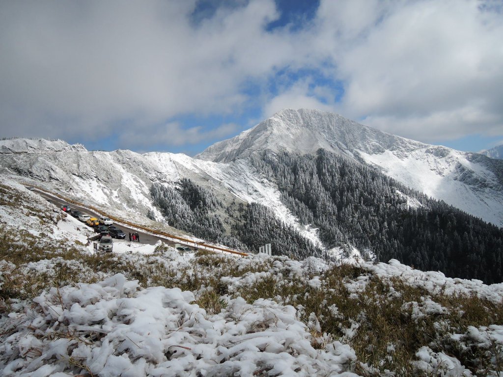 合歡山也有藏王樹冰的雪景_510336
