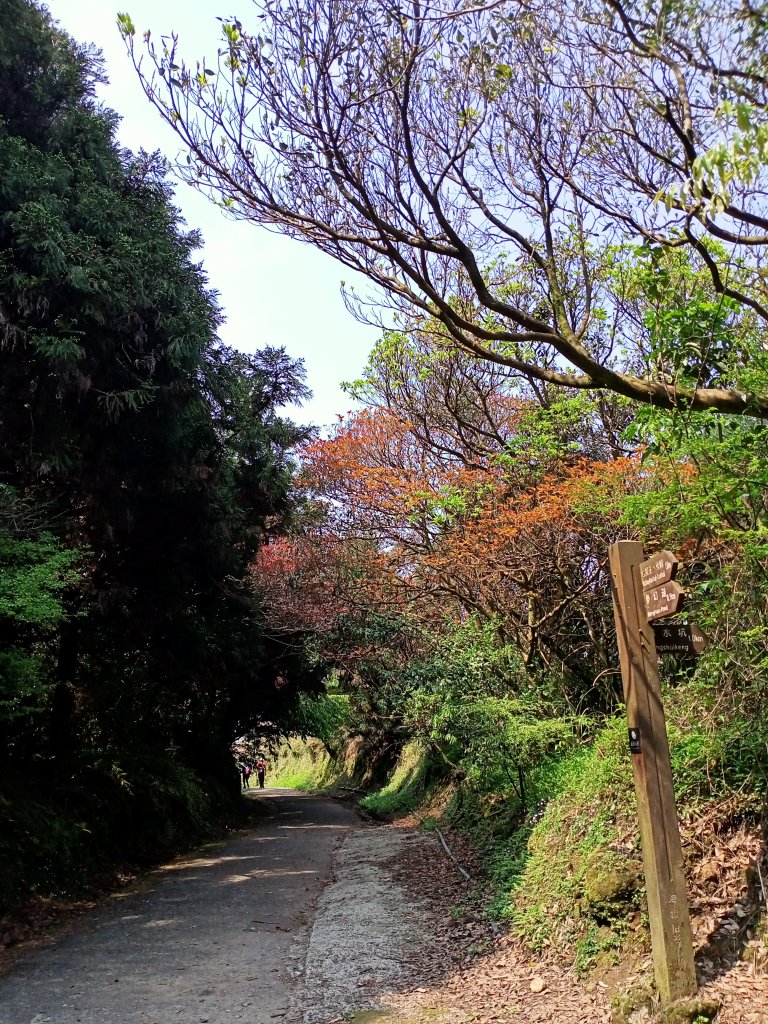 夢幻湖步道【走遍陽明山】_2107527