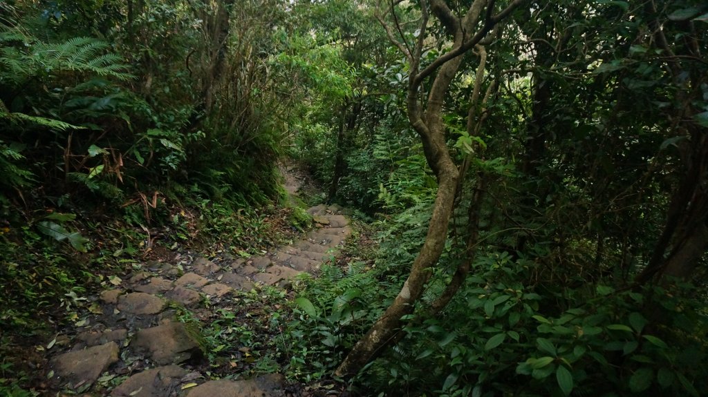 三峽(長壽山)→土城(天上山) 縱走_1233154