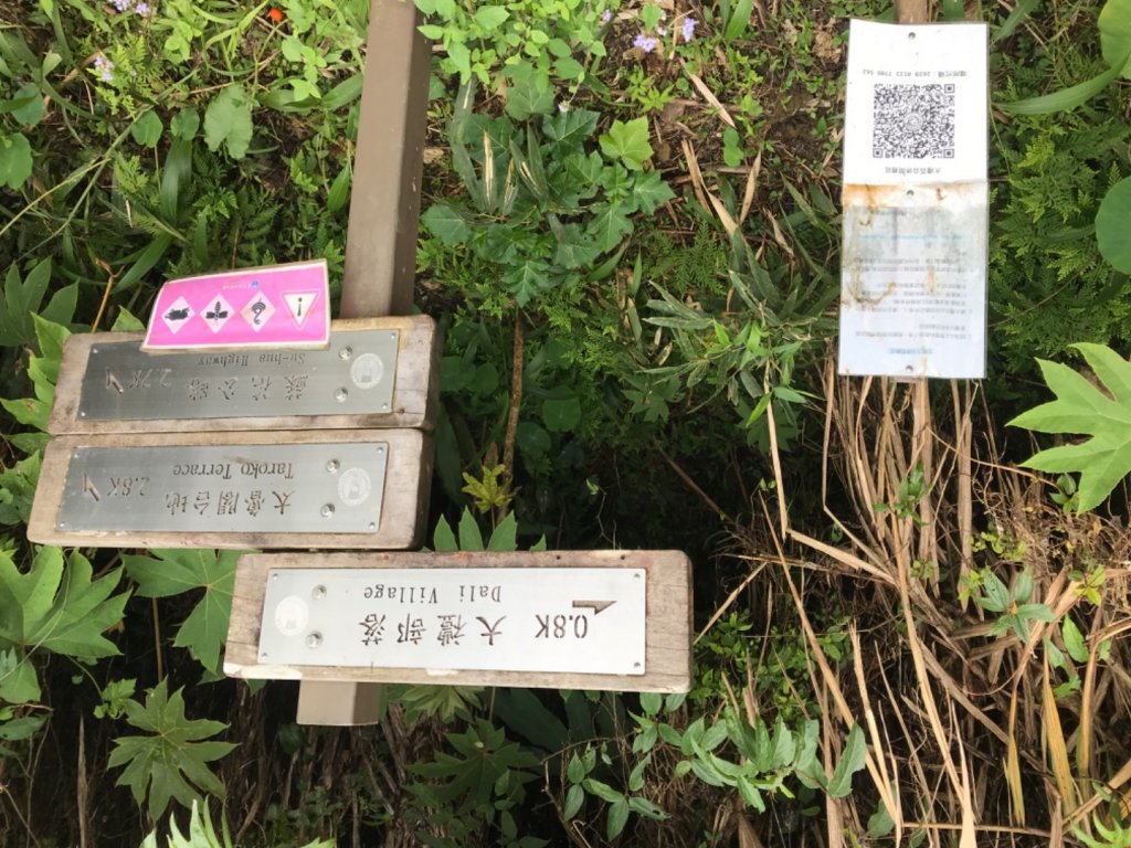 花蓮-大禮步道（得卡倫步道起登）_2037616