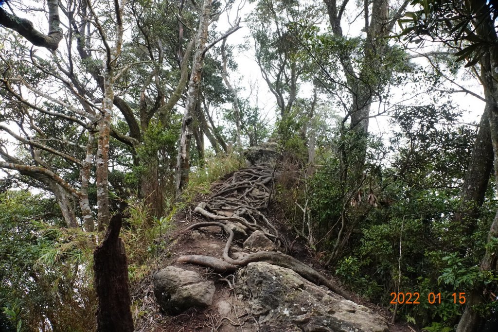 新竹 尖石 內鳥嘴山_1581169