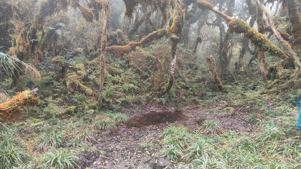 茶仁山單攻2025年4月4日_2753331