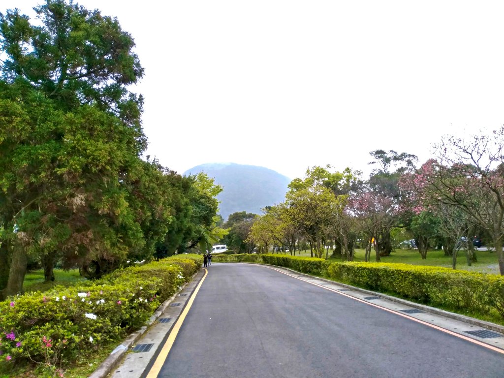 七星山主東峰苗圃線_852319