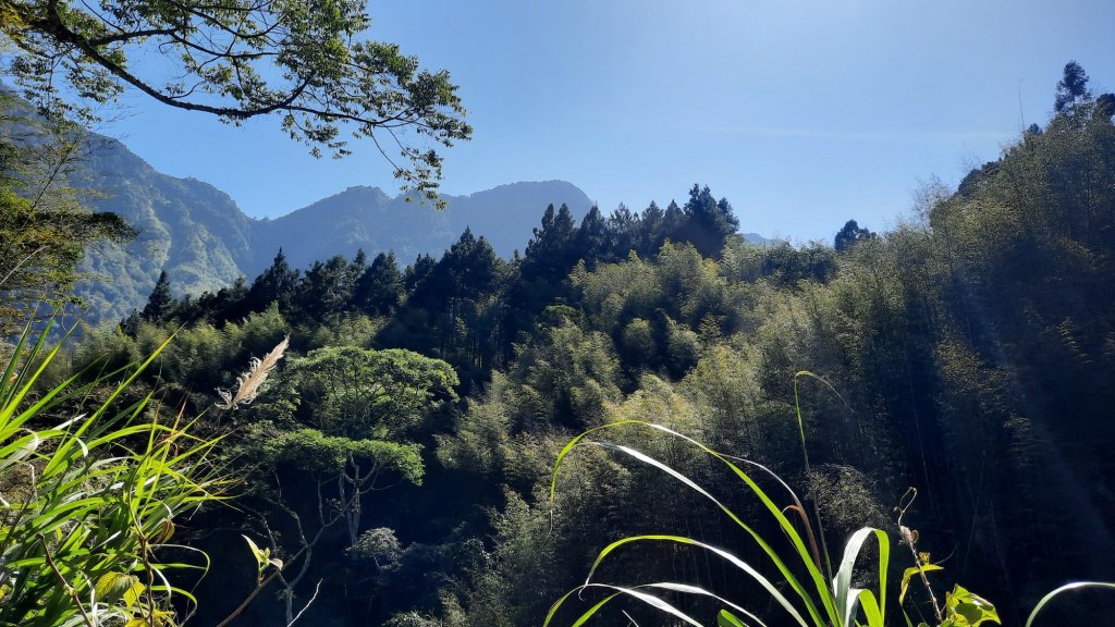 《南投》竹林台灣杉｜溪頭山竹崙山志騰山O繞20230218_2035804