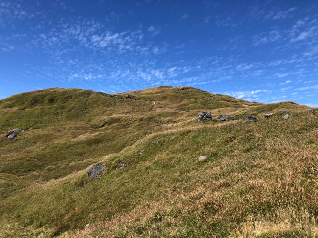 水鹿天堂-能高安東軍蹤走_682987