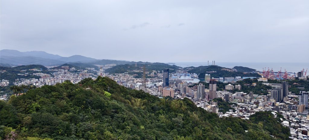 2026/03/01-紅淡山步道_3010064