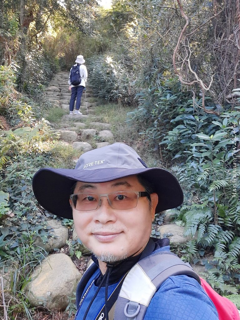 《新竹》湖口老街｜金獅古道O繞茶香及仁和步道20241206_2663710