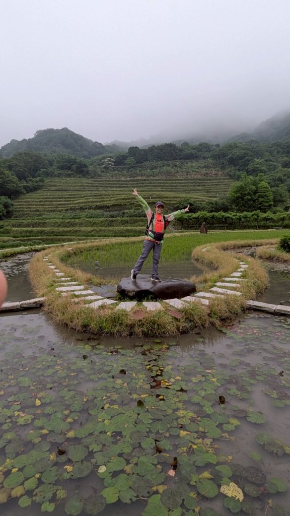 114.05.04三芝桐花步道-百年田梯步道-大鵬足湯公園_2779936