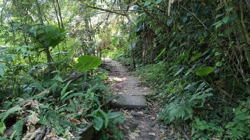 20251004 馬那邦山 - 珠湖 登山口_2904874