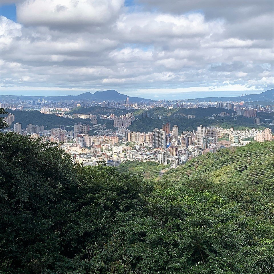 飛龍步道-樟山寺-樟樹步道_1265161