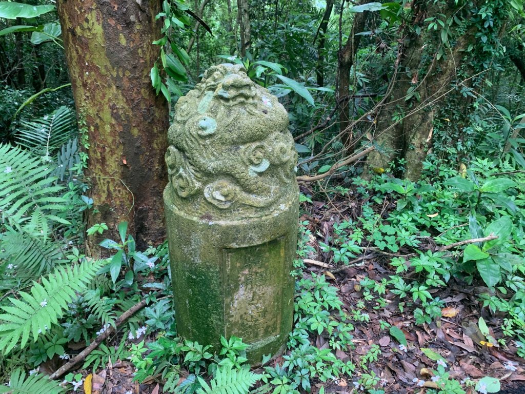 大崎棟古道、騎龍古道_2772293