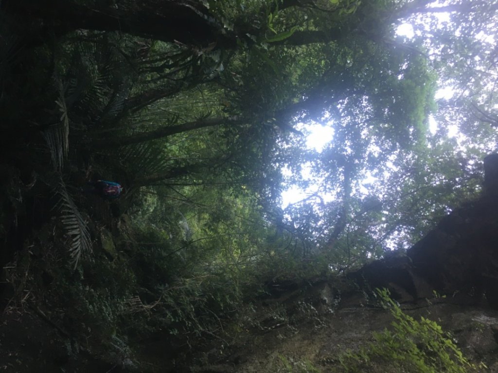 中央尖連峰、孝子山、慈母峰⋯_2248705