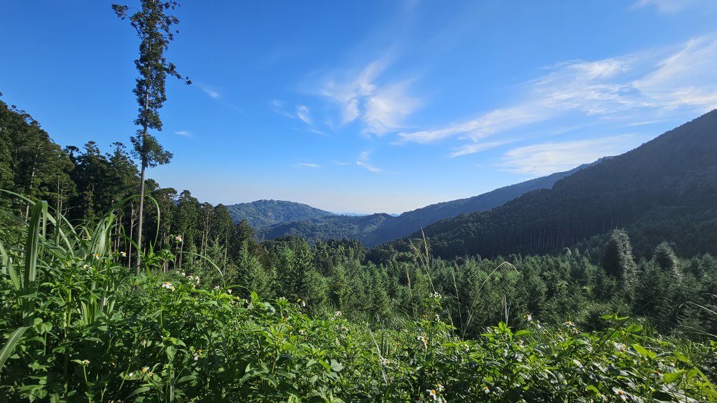 油羅山封面圖