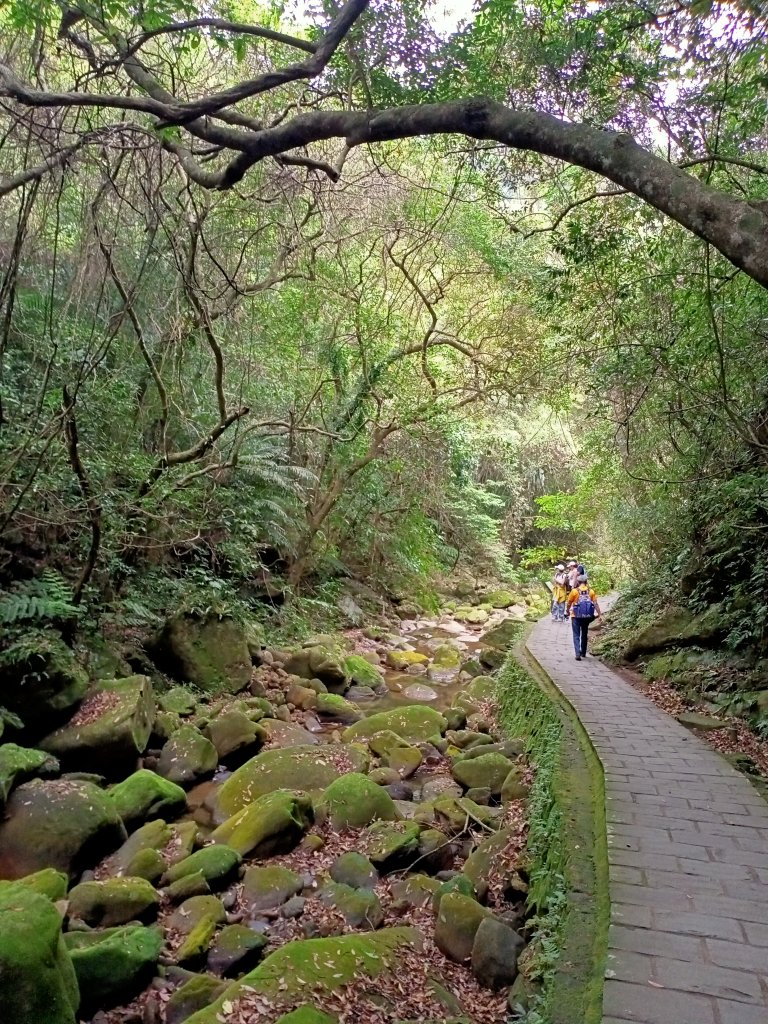 【臺北大縱走 4】2-2 許願步道→碧山路→白石湖吊橋→圓覺寺步道→圓覺瀑布→大溝溪生態治水園區_2113709