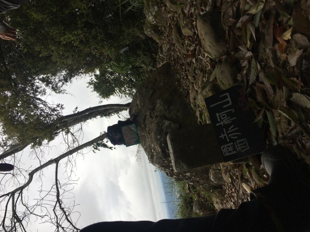 赤柯山、東獅頭山_2748572