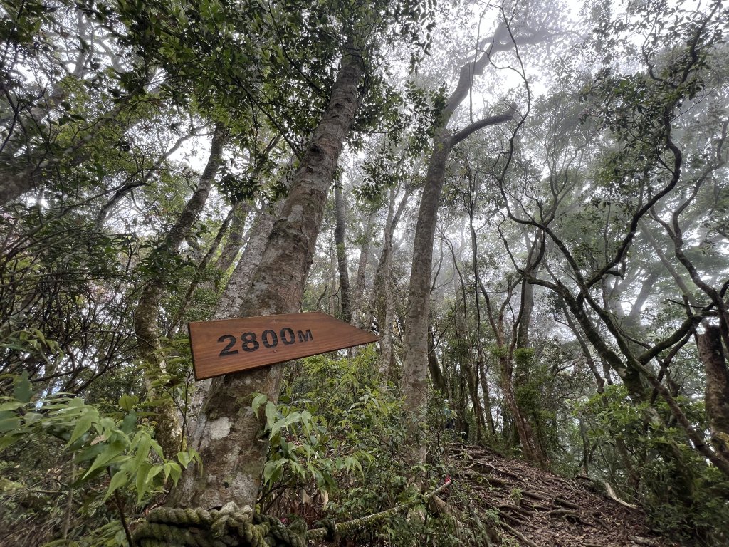 ~  塔  曼  山  ~_2782771