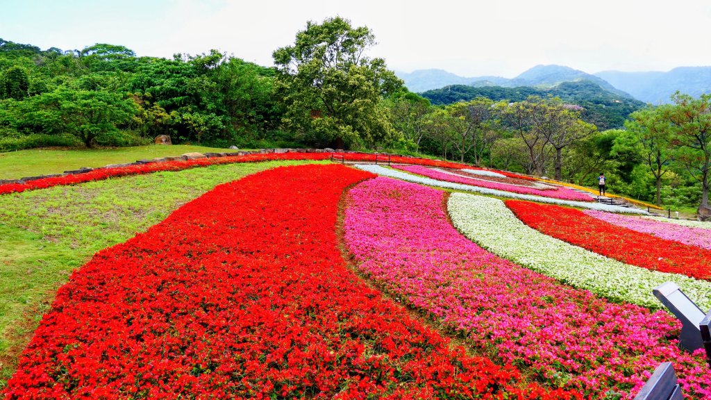 北投社三層崎封面圖
