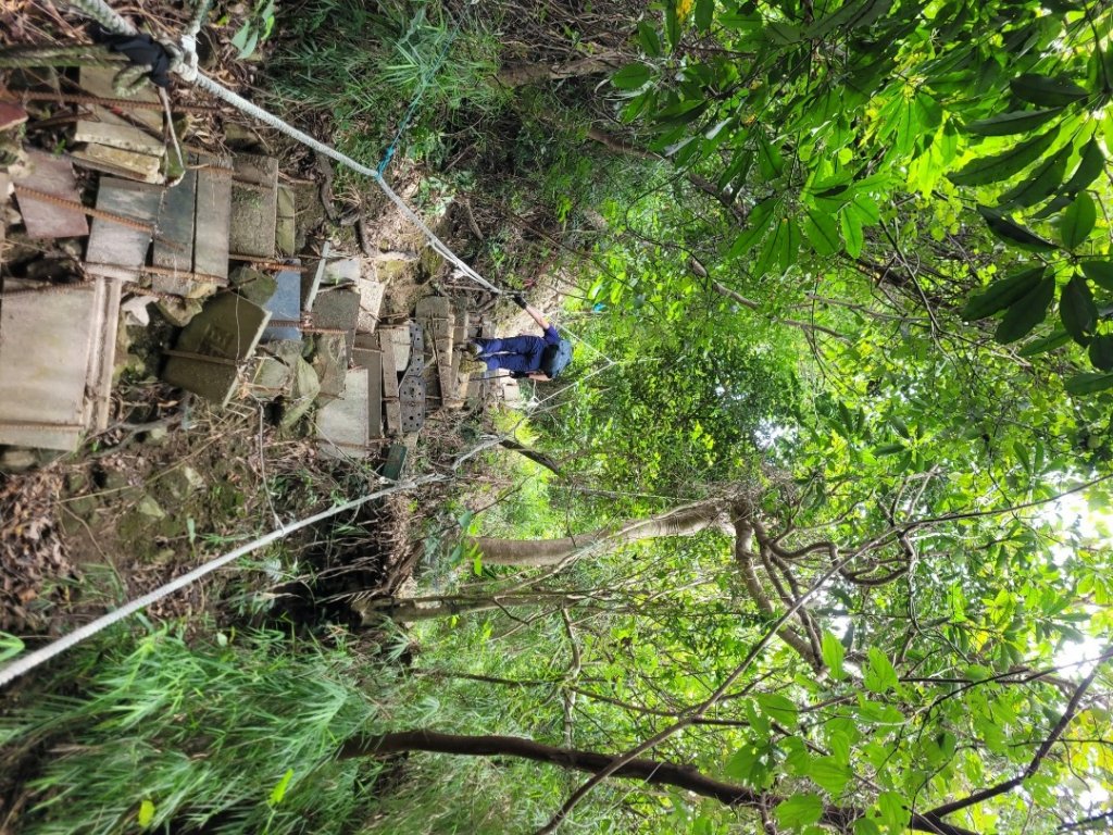20230819觀音山十九連峰8字縱走_2255168
