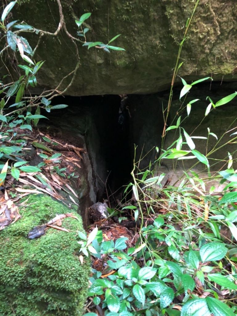 頂湖步道登奮起湖大凍山、霹靂山_348527