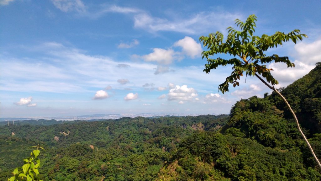 九九峰步道O型_1454000