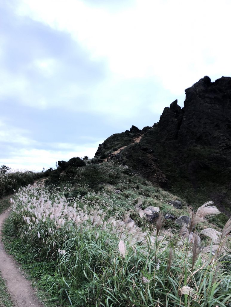 瑞芳-小錐麓/劍龍稜/鋸齒稜/無耳茶壺山_466924