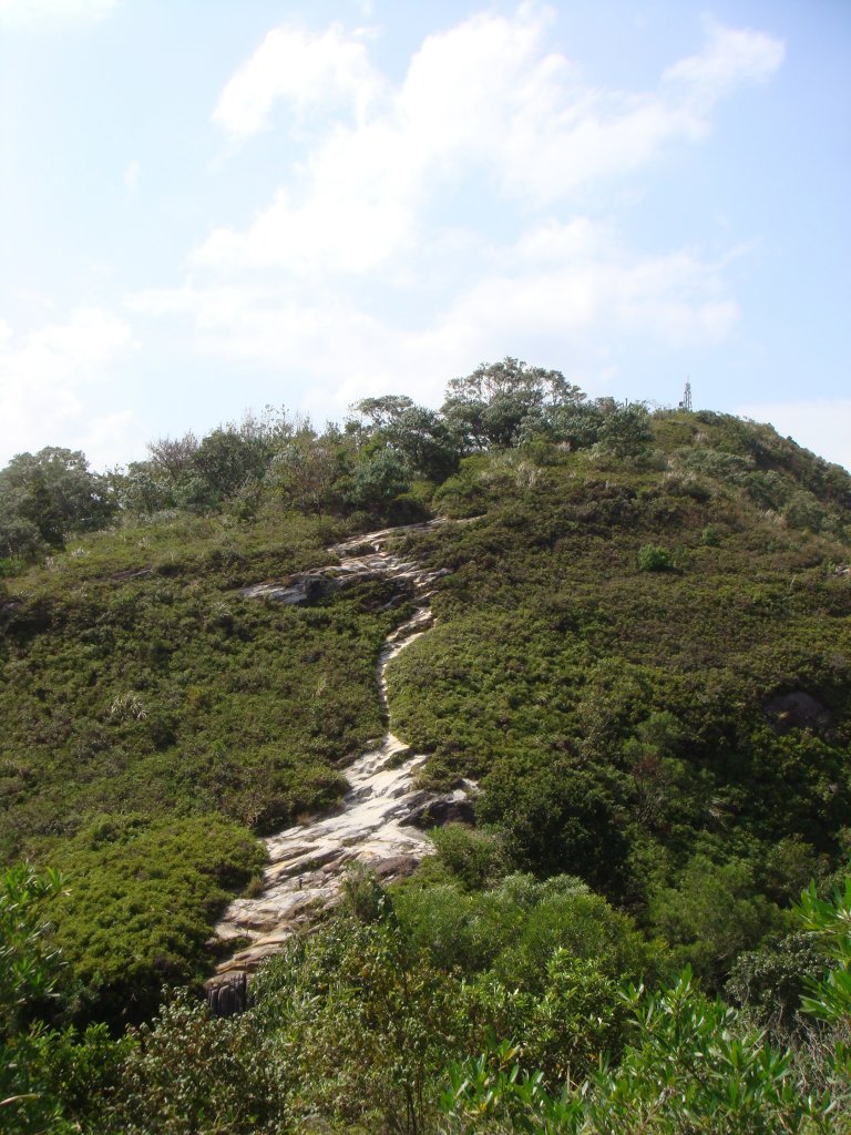 軍艦岩、丹鳳山親山步道_1682470