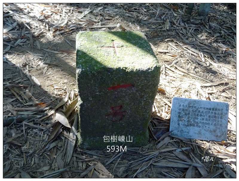 天字第一號三等三角點(包樹崠山)封面圖