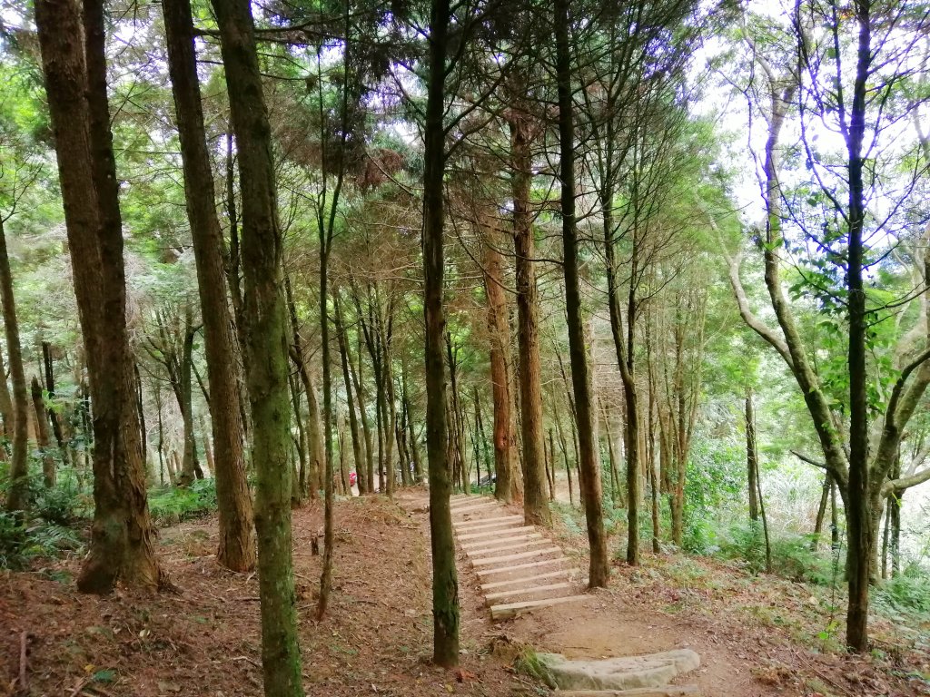 苗栗南庄～陡上陡下無冷場台灣富士山加里山_1086904