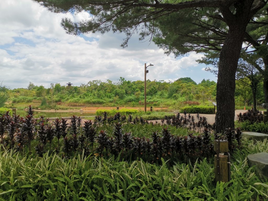 暑之大湳森林公園_2859591