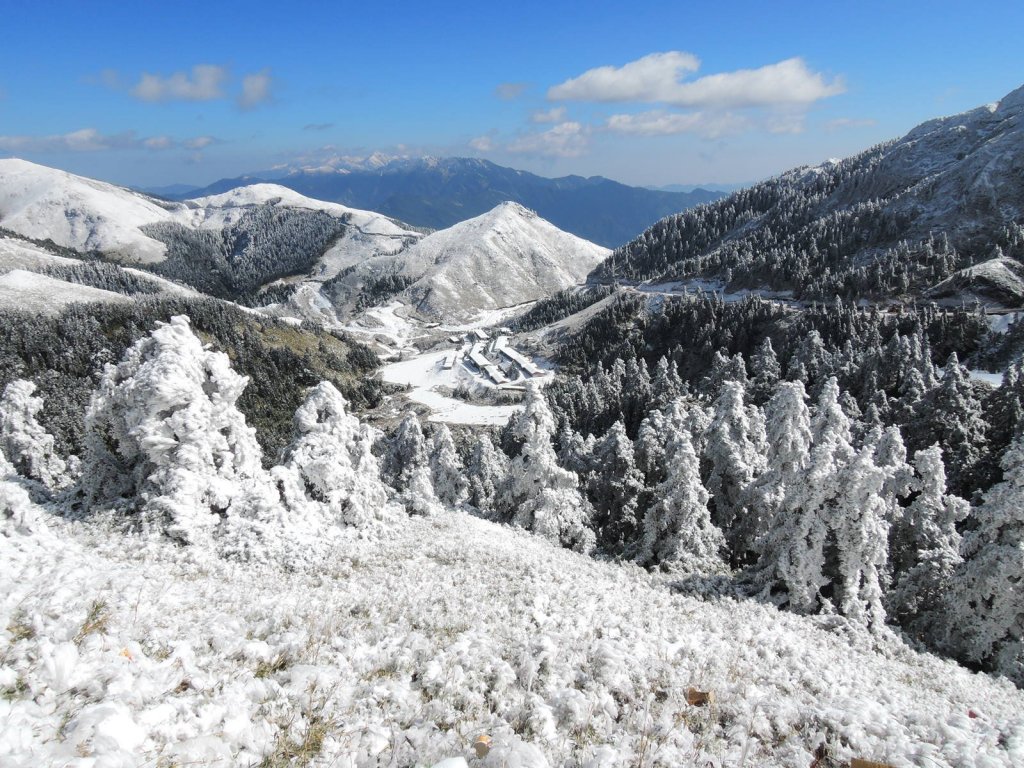 合歡山也有藏王樹冰的雪景_510328