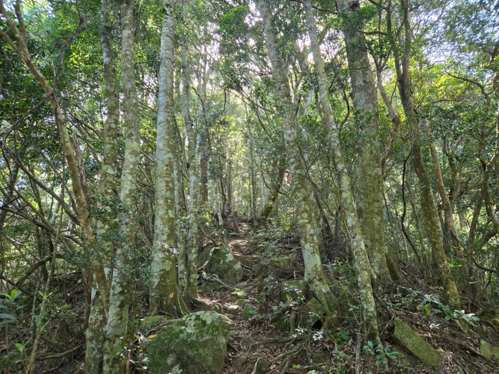 哈堪尼山_2761946