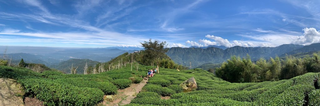 20241109南投大崙頭山-樟空崙山縱走封面圖