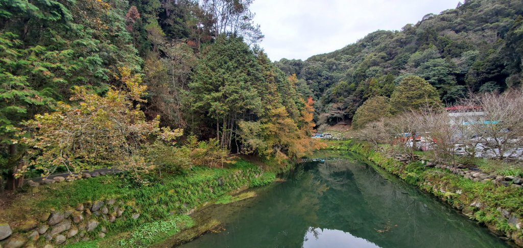 2023-01-01杉林溪青龍蕨類步道(青龍瀑布)、松瀧岩瀑布及天地眼步道_1978824