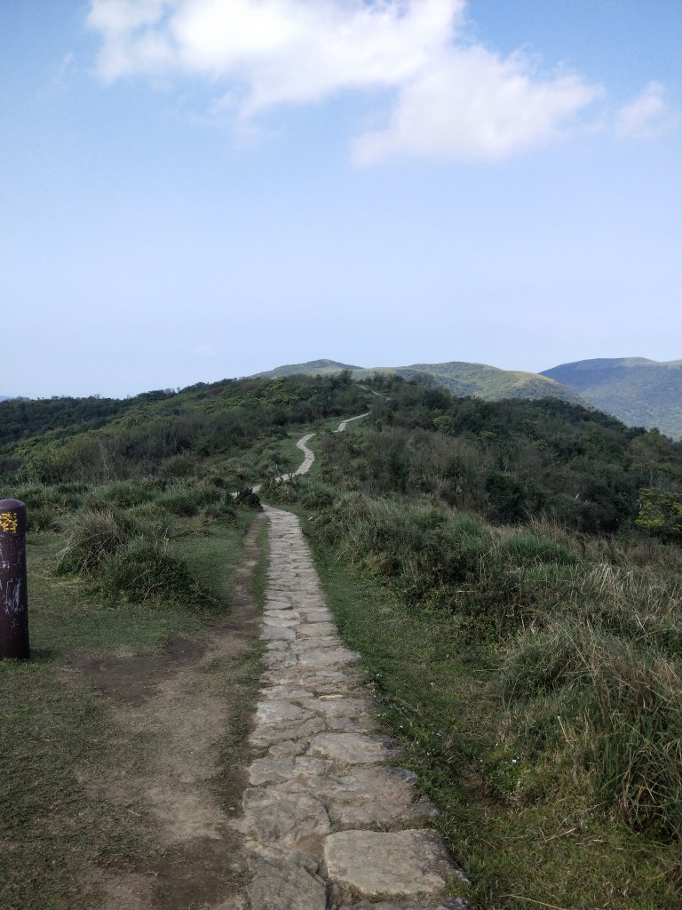 臺北大縱走第三段：小油坑至風櫃口_1677922