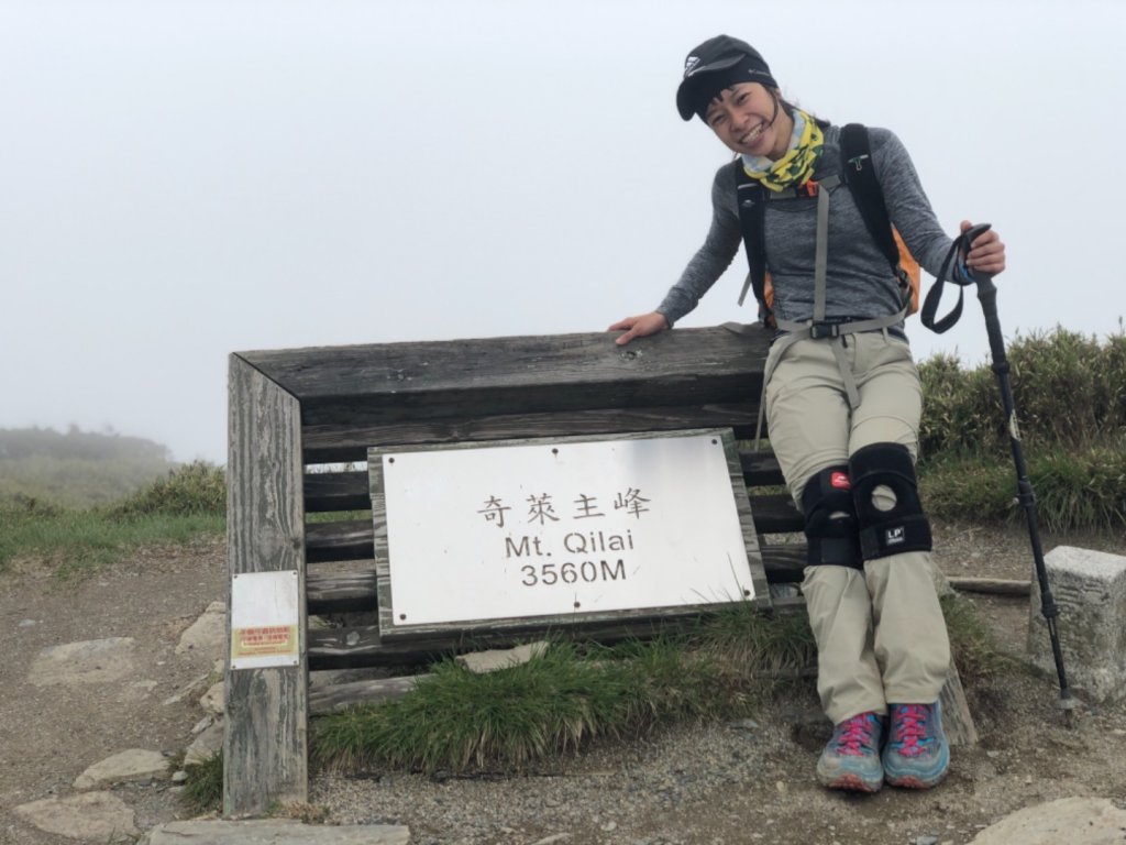 20190525奇萊主峰單攻杜鵑之美_593840