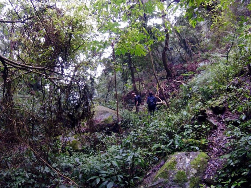 虎山.虎山西南峰_270574