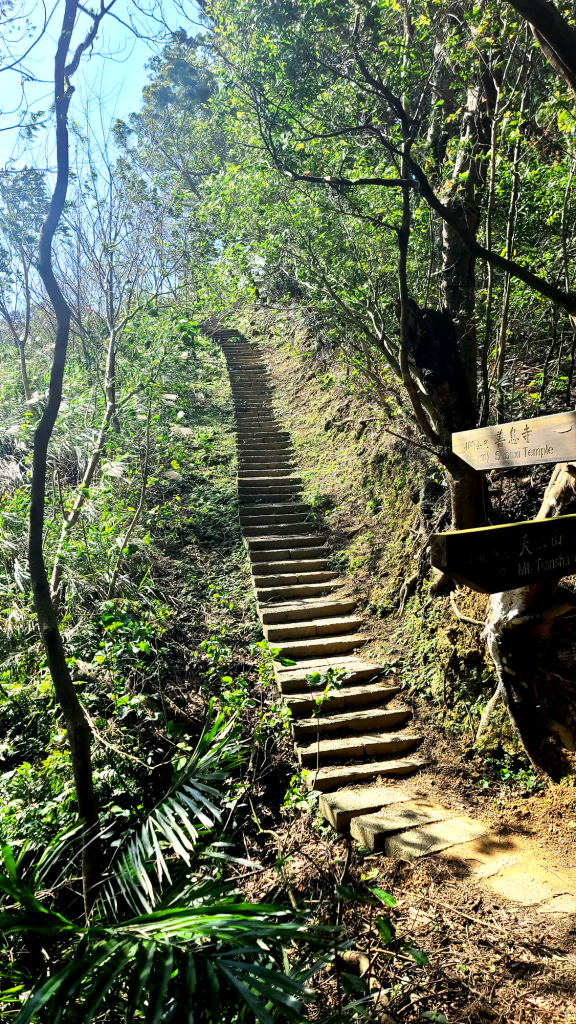 2025-0104 造鎮_五城山_天上山_三粒半_火焰山_慈惠堂_土城大潤發_2682181