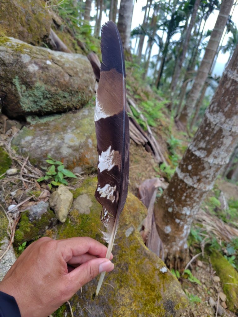 安靖古道封面圖