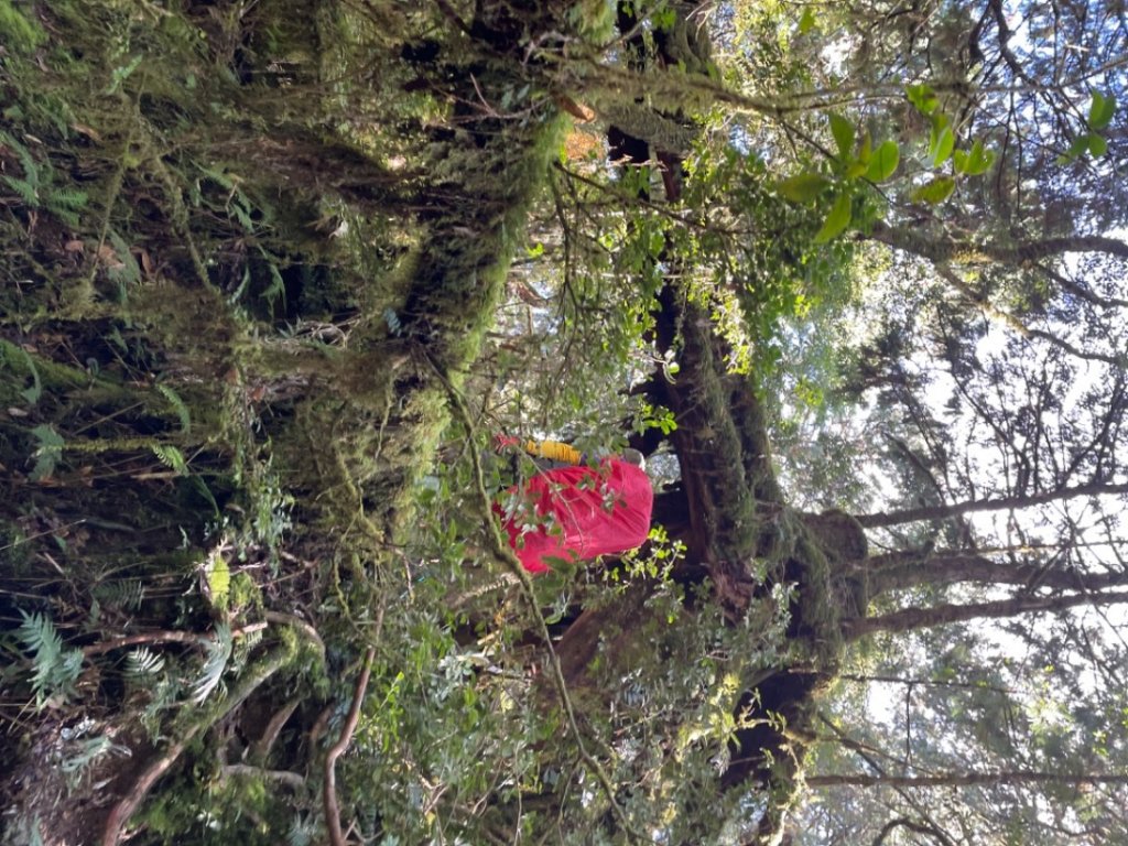 塔魔巴2天1夜來回_2357294