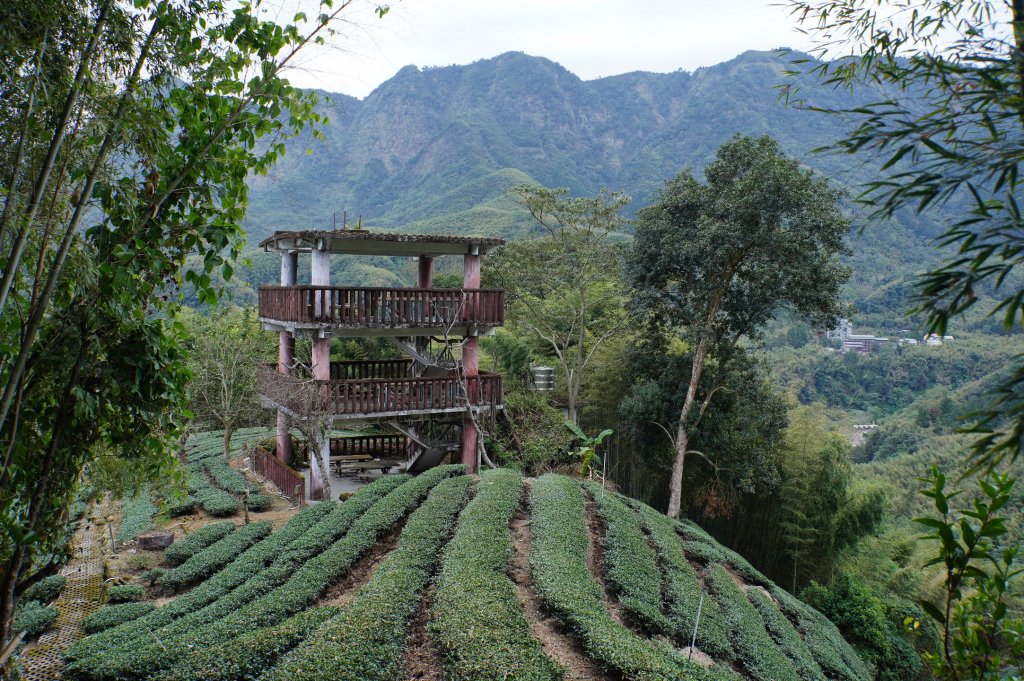 南投 鹿谷 大崙頭山、貓冬望山、樟空倫山、志騰山、竹崙山_2993340