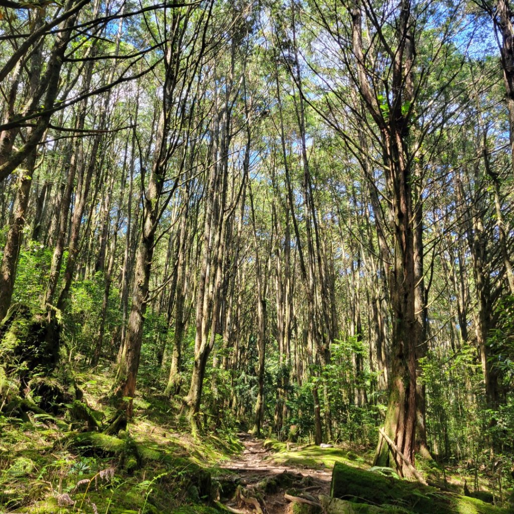 稍來山（小百岳）封面圖