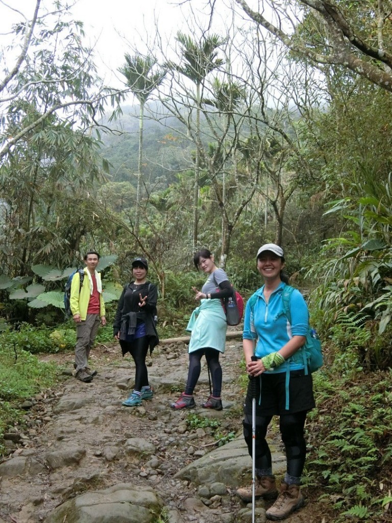 台南第一高山大凍山_240776